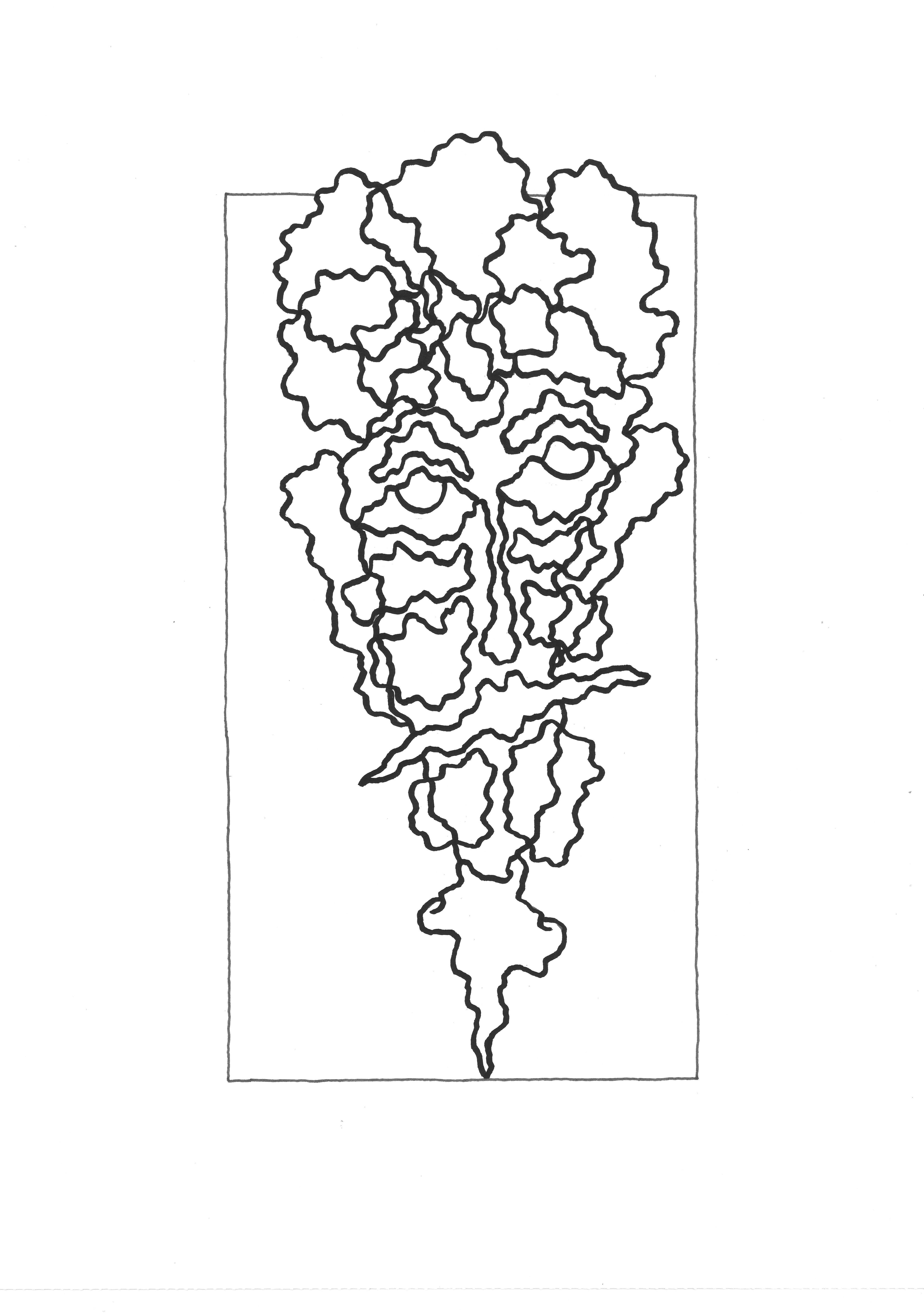 VISAGE AUX OREILLES DÉCOLLÉES